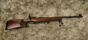 Sporting gun experience under supervised range conditions