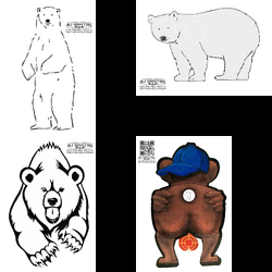 Bears